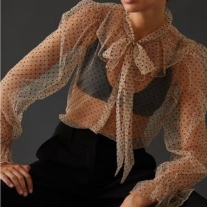 Dolan sheer tie button down blouse